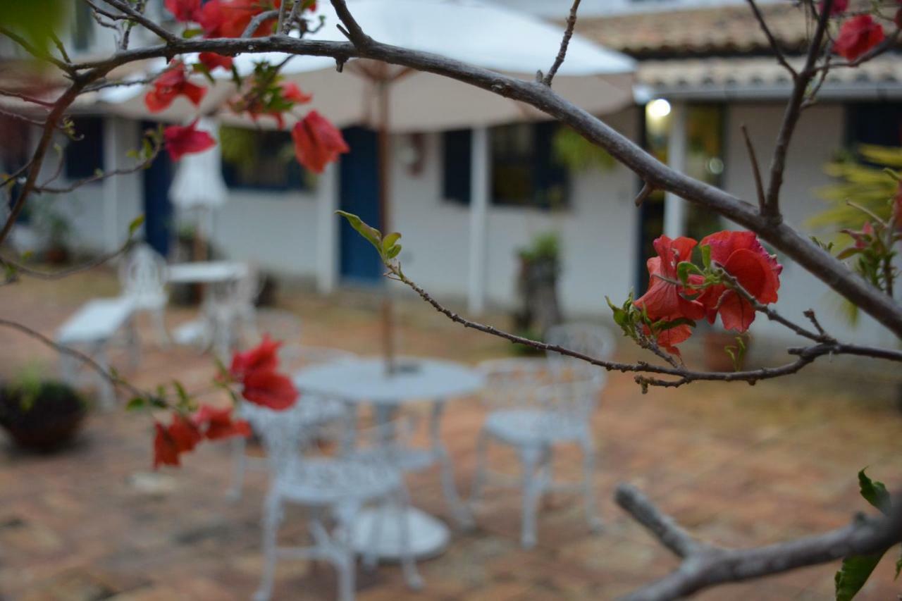 Centro Búzios